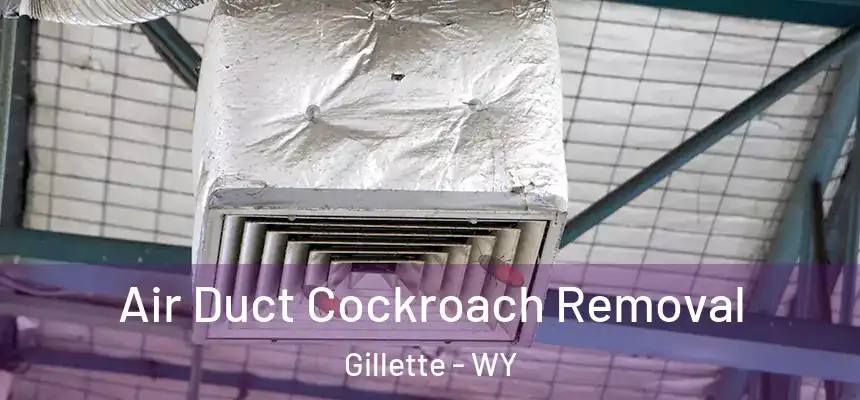 Air Duct Cockroach Removal Gillette - WY