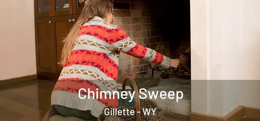 Chimney Sweep Gillette - WY