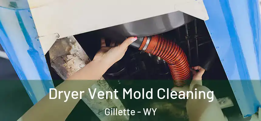  Dryer Vent Mold Cleaning Gillette - WY