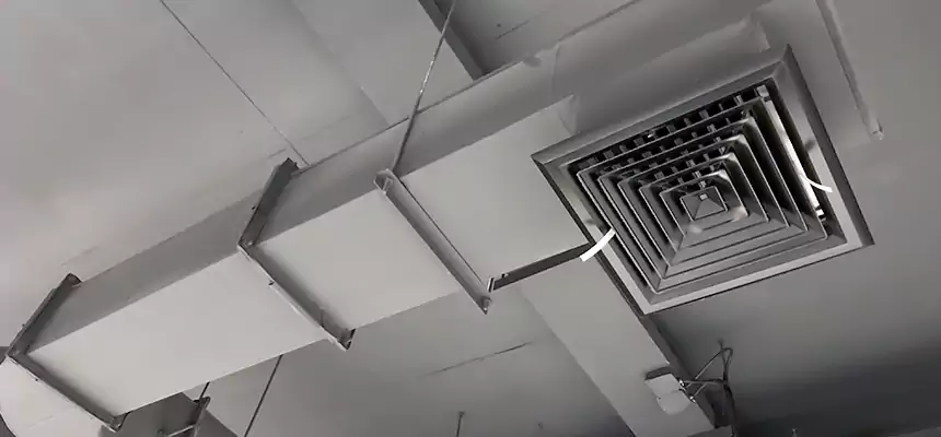 Our Pest Removal From Ducts Services in Gillette, WY