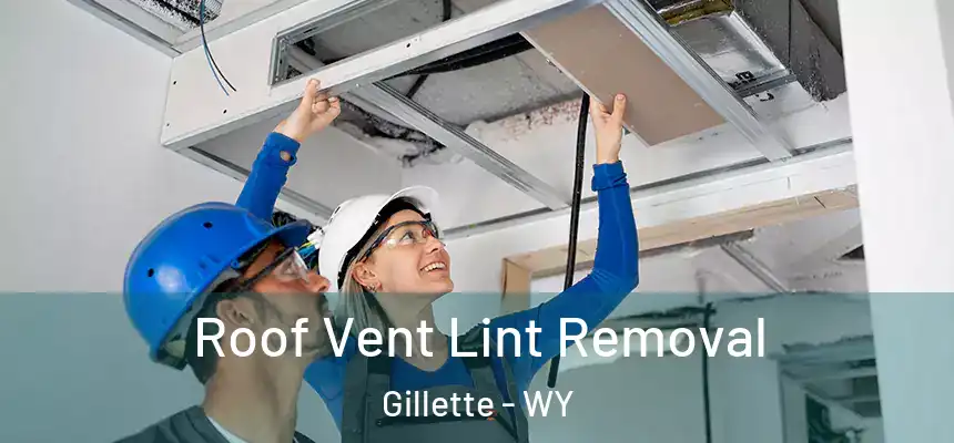  Roof Vent Lint Removal Gillette - WY