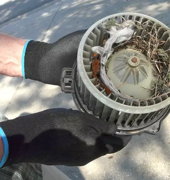 About Air Duct Mice Removal in Gillette, WY