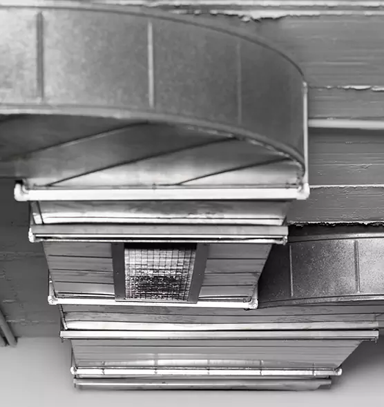 Professional Air Duct Pest Removal in Gillette, WY