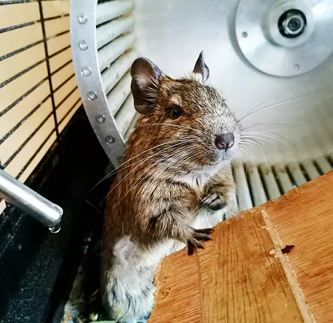 Why Homeowners & Businesses Trust Us Gillette, WY